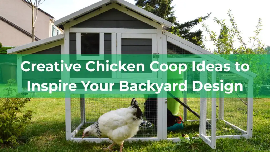 Chicken coop ideas