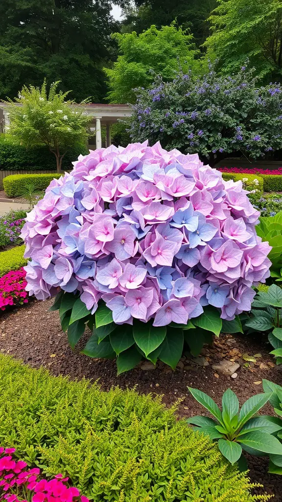 A vibrant hydrangea bush with pink and blue flowers surrounded by green foliage and colorful flowers.