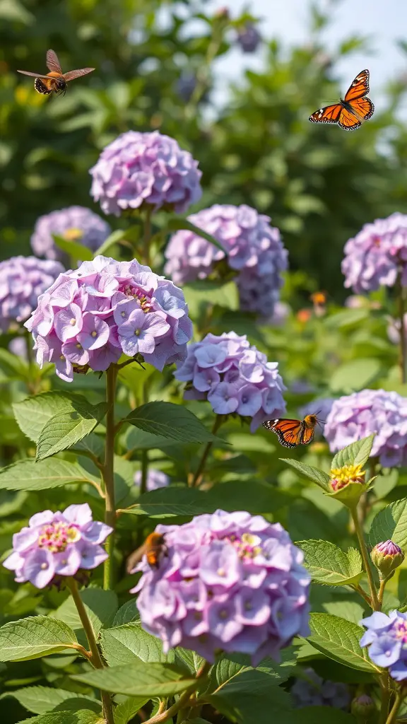 Purple hydrangea flowers with butterflies flying around them